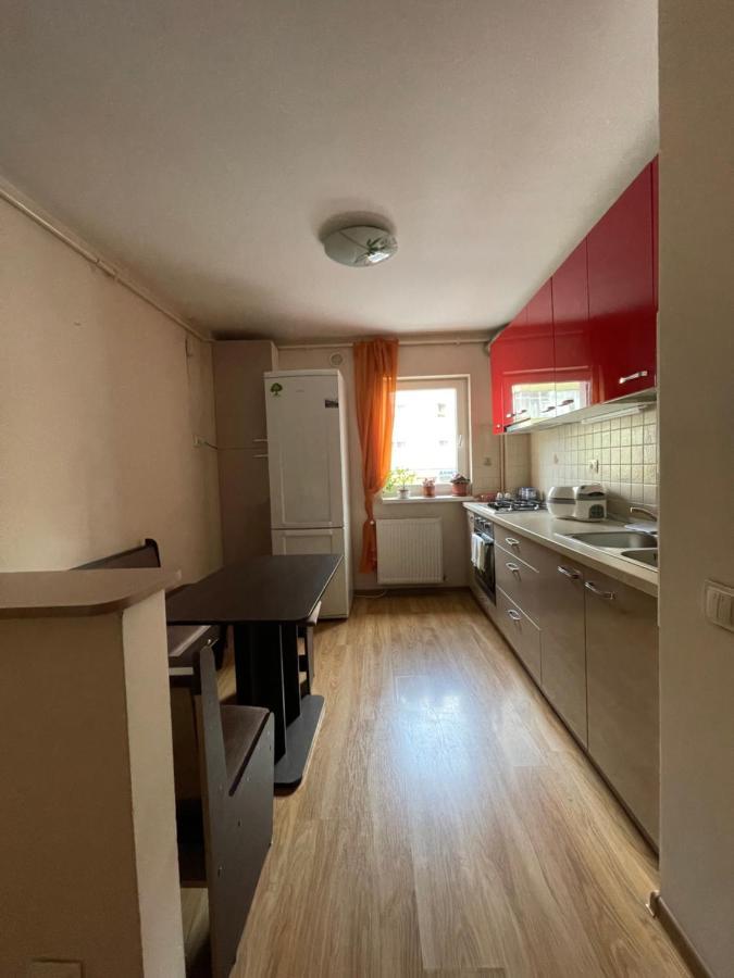Cerna Apartament Lägenhet Braşov Exteriör bild